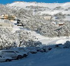 The Lions Lair Lodge - - Accommodation in Brisbane