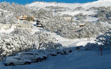 The Lions Lair Lodge - - Accommodation in Brisbane 0