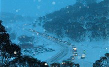 The Lions Lair Lodge - - Accommodation in Brisbane 3