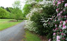 Lennox Head Beachouse YHA - Accommodation in Brisbane 1