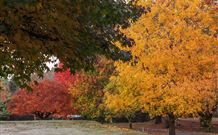 Lennox Head Beachouse YHA - Accommodation in Brisbane 2