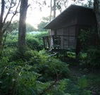 Mount Seaview Resort - Accommodation in Brisbane