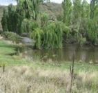 Cedar Grove - Accommodation in Brisbane