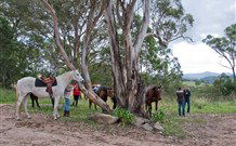 In Essentia Healing Hut Of Kangaroo Valley - Accommodation in Brisbane 1