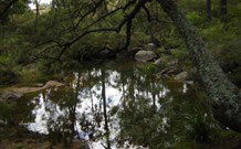 In Essentia Healing Hut Of Kangaroo Valley - Accommodation in Brisbane 0