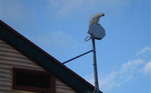 Hat Head Holiday House - Accommodation in Brisbane 6