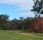 Mulberry Cottage - Accommodation in Brisbane