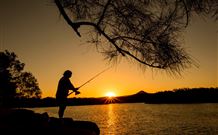 Oakbourne Cottage, Gingers Creek - Accommodation in Brisbane 5