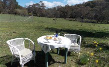 Pinegrove Cottage - Accommodation in Brisbane 5