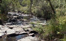 Pinegrove Cottage - Accommodation in Brisbane 4