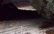Pinegrove Cottage - thumb 7