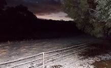 Pinegrove Cottage - Accommodation in Brisbane 7