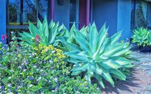 Retreat Homestead - Accommodation in Brisbane 0