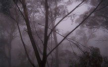 SeaChange Holiday Cottage And SeaStay Cottage - Accommodation in Brisbane 4