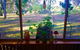 The Pines Pastoral - thumb 4