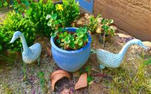 The Pines Pastoral - Accommodation in Brisbane 5