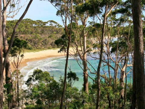 Allawah Cabins - Accommodation in Brisbane 2