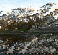 Greysen Farmstay - Accommodation in Brisbane