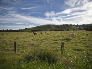Goolmangar NSW Accommodation in Brisbane