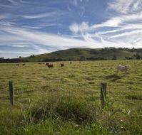 Annas Retreat - Accommodation in Brisbane