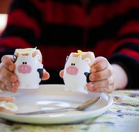 Cosy Cow Farmstay Bed and Breakfast - Accommodation in Brisbane