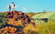 Kings Canyon Holiday Park - thumb 2