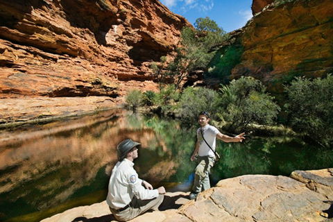 Kings Canyon Holiday Park - Accommodation in Brisbane 8
