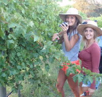 McLaren Vale Backpackers
