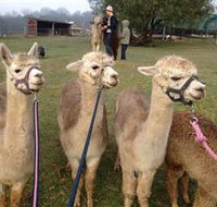 Bunyip Springs Farmstay - Accommodation in Brisbane