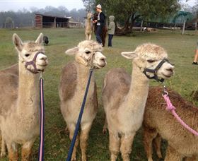Bunyip Springs Farmstay - Accommodation in Brisbane 0
