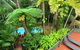 Wait A While Daintree - thumb 1