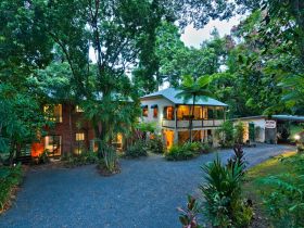 Red Mill House In Daintree - Accommodation in Brisbane 0