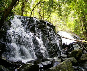 Bellthorpe Stays - Nature's Retreat - Accommodation in Brisbane 1