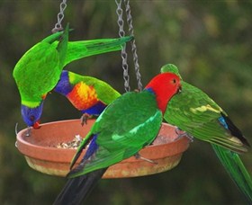 Bellthorpe Stays - Nature's Retreat - Accommodation in Brisbane 3