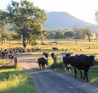 Tommerups Dairy Farmstay - Accommodation in Brisbane