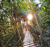 O'Reilly's Rainforest Retreat - Accommodation in Brisbane