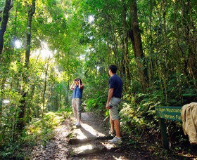 O'Reilly's Rainforest Retreat - Accommodation in Brisbane 2