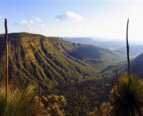 O'Reilly's Rainforest Retreat - Accommodation in Brisbane 3