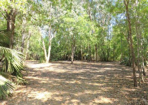 Bitter Springs Cabins And Camping - Accommodation in Brisbane 5
