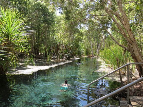 Bitter Springs Cabins And Camping - Accommodation in Brisbane 6