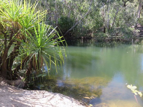 Bitter Springs Cabins And Camping - Accommodation in Brisbane 7