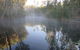 Bitter Springs Cabins And Camping - thumb 8