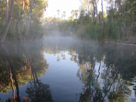 Bitter Springs Cabins And Camping - Accommodation in Brisbane 8