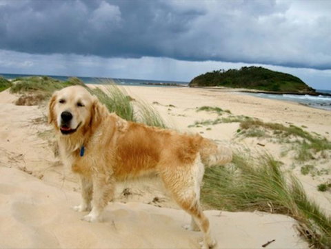 Castaway Holiday Units - Accommodation in Brisbane 1