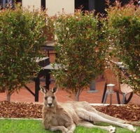 Alpha Canberra Hotel and Apartments - Accommodation in Brisbane