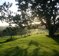 Kilfeacle Farm Cottage - Accommodation in Brisbane