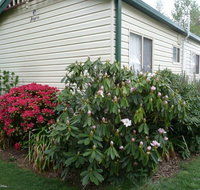 Jenolan Caravan Park - Accommodation in Brisbane