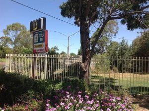Forest Lodge Motor Inn And Restaurant - Accommodation in Brisbane 0