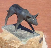 The Ardlethan Kelpie Caravan Park - Accommodation in Brisbane