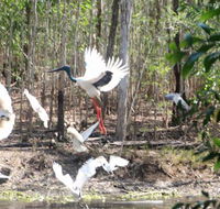 Rakhi Retreat - Accommodation in Brisbane